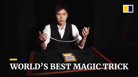 T magif magician